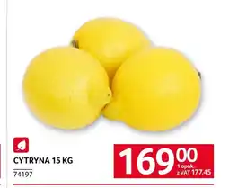 Selgros Cytryna oferta