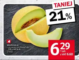 Selgros Melon oferta