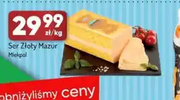 Avita Ser Złoty Mazur Mlekpol oferta