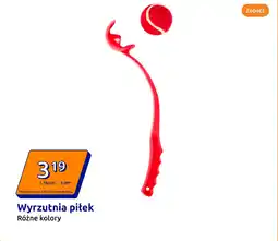 Action Wyrzutnia piłek oferta