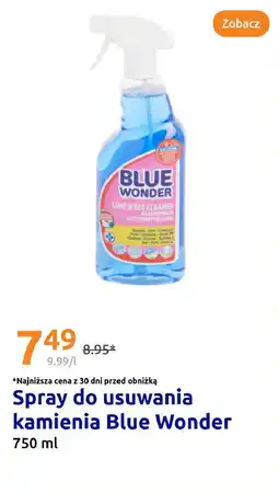 Action Spray do usuwania kamienia Blue Wonder oferta