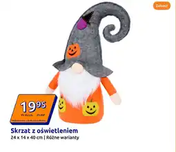 Action Skrzat z oświetleniem oferta