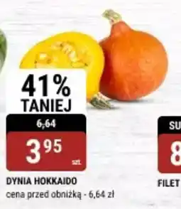 bi1 Dynia Hokkaido oferta