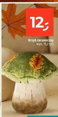 Dealz Grzyb ceramiczny 15.2 cm oferta