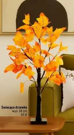 Dealz Drzewko świecące 58 cm oferta
