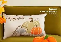 Dealz Poduszka 30 x 50 cm oferta