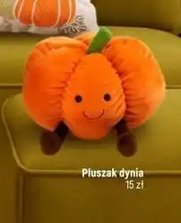 Dealz Maskotka dynia oferta