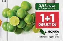 Stokrotka Market Limonka oferta