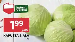 Stokrotka Market Kapusta biała oferta