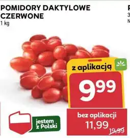 Stokrotka Market Pomidory daktylowe czerwone oferta