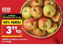 Biedronka Jabłka polskie wczesne oferta