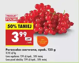 Biedronka Porzeczka czerwona oferta