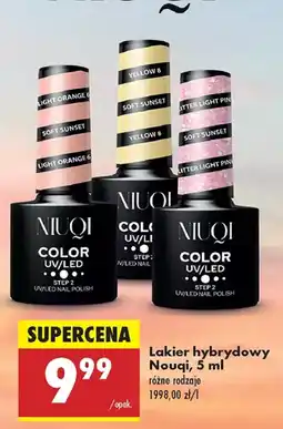 Biedronka Lakier hybrydowy Nouqi oferta