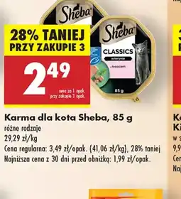 Biedronka Karma dla kota Sheba oferta