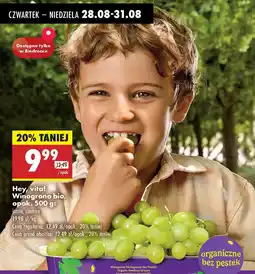 Biedronka Winogrona bio jasne bez pestek Hey vita oferta