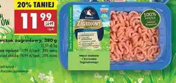 Biedronka Mięso mielone z kurczaka zagrodowego Zagrodowy z Podlasia oferta