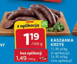 Stokrotka Kaszanka krzyś oferta