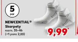 Kaufland Skarpety Newcential oferta