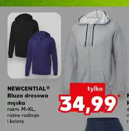 Kaufland Bluza dresowa męska Newcential oferta