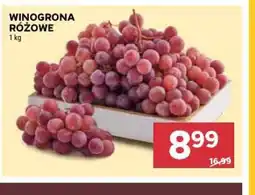 Stokrotka Winogrona różowe oferta
