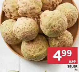 Stokrotka Seler oferta