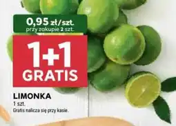 Stokrotka Limonka oferta