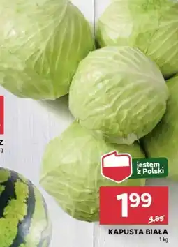 Stokrotka Kapusta biała oferta