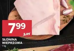 Stokrotka Słonina wieprzowa oferta