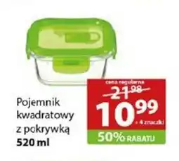 Stokrotka Pojemnik kwadratowy z pokrywką oferta