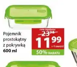 Stokrotka Pojemnik prostokątny z pokrywką oferta