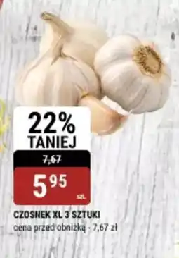 bi1 Czosnek XL oferta
