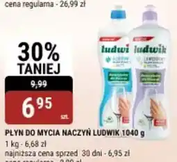 bi1 Płyn do mycia naczyń Ludwik oferta