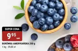 bi1 Borówka amerykańska oferta