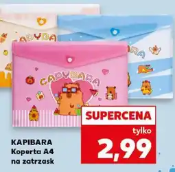 Kaufland KAPIBARA Koperta A4 na zatrzask oferta