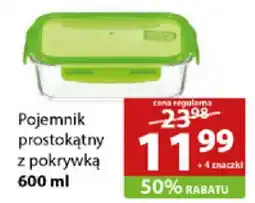 Stokrotka Market Pojemnik prostokątny z pokrywką 600 ml oferta