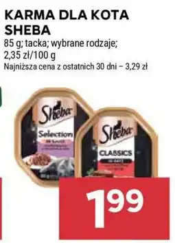 Stokrotka Market Karma dla kota Sheba oferta