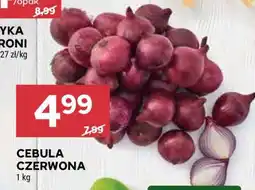Stokrotka Market Cebula czerwona oferta
