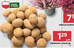 Stokrotka Market Ziemniaki jadalne oferta