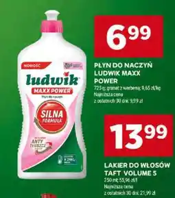 Stokrotka Market Płyn do naczyń Ludwik Maxx Power oferta