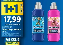 Lidl COCCOLINO Płyn do płukania oferta