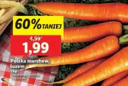Lidl Polska marchew, luzem oferta