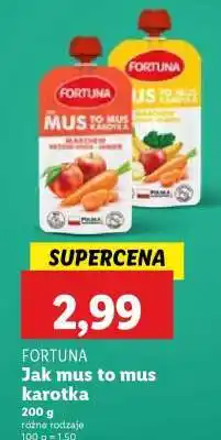 Lidl FORTUNA Jak mus to mus karotka oferta
