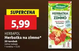 Lidl HERBAPOL Herbatka na zimno oferta