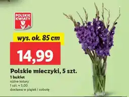Lidl Polskie mieczyki, 5 szt oferta
