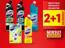 Lidl Produkty Domestos oferta