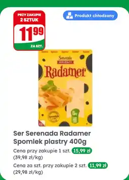 Dino Ser żółty Serenada Radamer plastry oferta