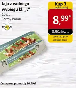 Market Point Jaja z wolnego wybiegu kl. L Fermy Baran oferta