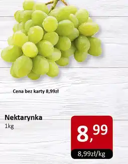 Market Point Winogrono białe Market Point oferta