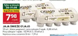 Stokrotka Jaja świeże Olja.jo oferta