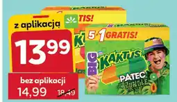 Stokrotka Wafelek Big Kaktus Patec Jungle oferta
